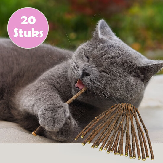 KiddyCat® Matatabi Japanse kattenstokjes (20 stuks)
