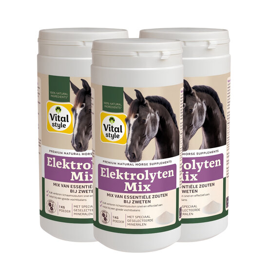 Vitalstyle ElektrolytenMix 3 kg Multipack