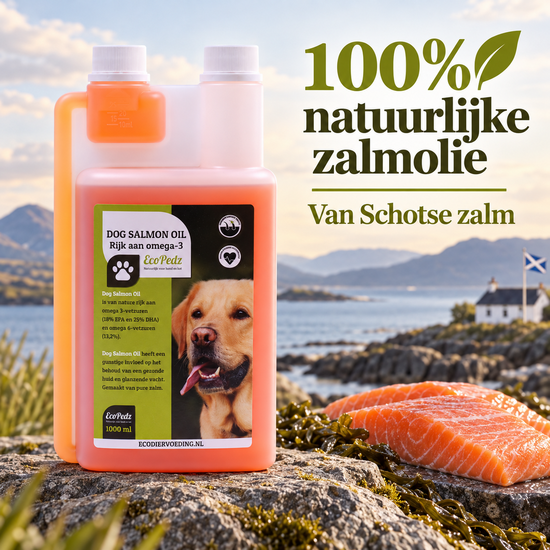 EcoPedz visolie zalm Premium voor honden 1000 ml