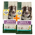 Vitalstyle Spieren en Gewrichten hondenbrokken 2x12 kg (duopack) | Aanbieding