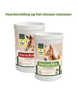 DetoxMix + DarmBalans Pakket S (combi-deal)