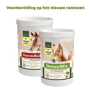DetoxMix + DarmBalans Pakket S (combi-deal)