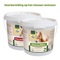 DetoxMix + DarmBalans Pakket L (combi-deal)