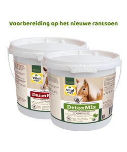 DetoxMix + DarmBalans Pakket L (combi-deal)