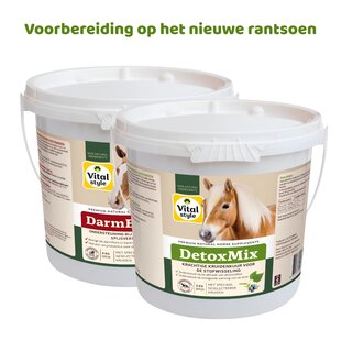 DetoxMix + DarmBalans Pakket L (combi-deal)
