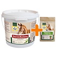 Vitalstyle DarmBalans 4 kg