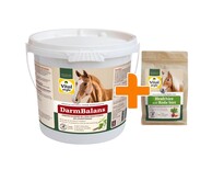 DarmBalans 4 kg