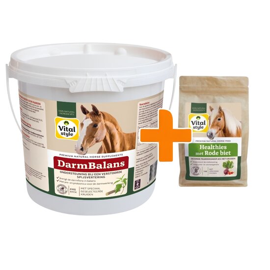 Vitalstyle DarmBalans 4 kg