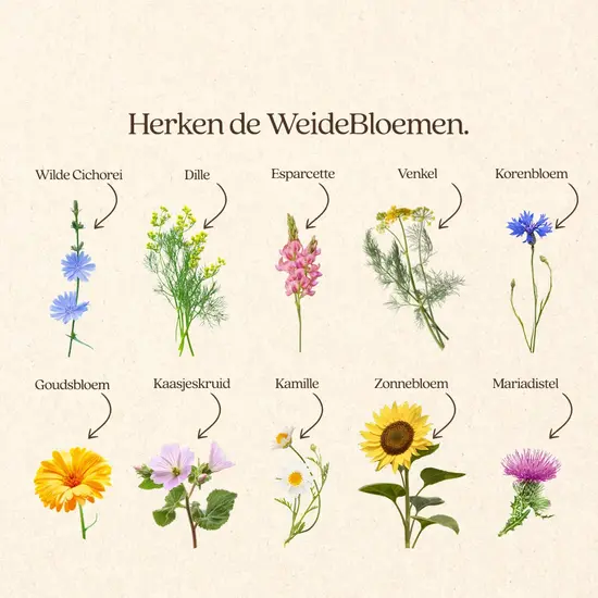 Vitalstyle WeideBloemen 25 gram
