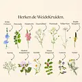 Vitalstyle WeideKruiden 25 gram