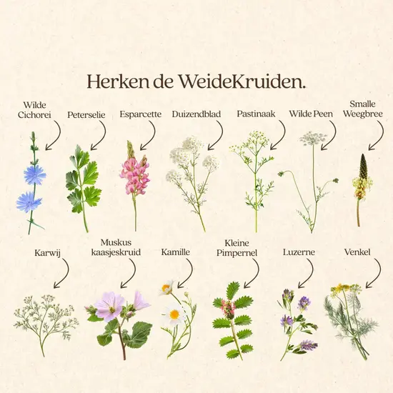 Vitalstyle WeideKruiden 1 kg
