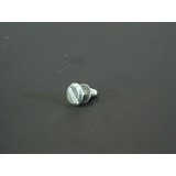 Hapro Fastening screw canopy