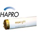 Maxlight Maxlight 100W CE III Maxlight Maxlight 100W CE III