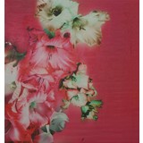 Silk Inkjet 159 Silk Inkjet 159