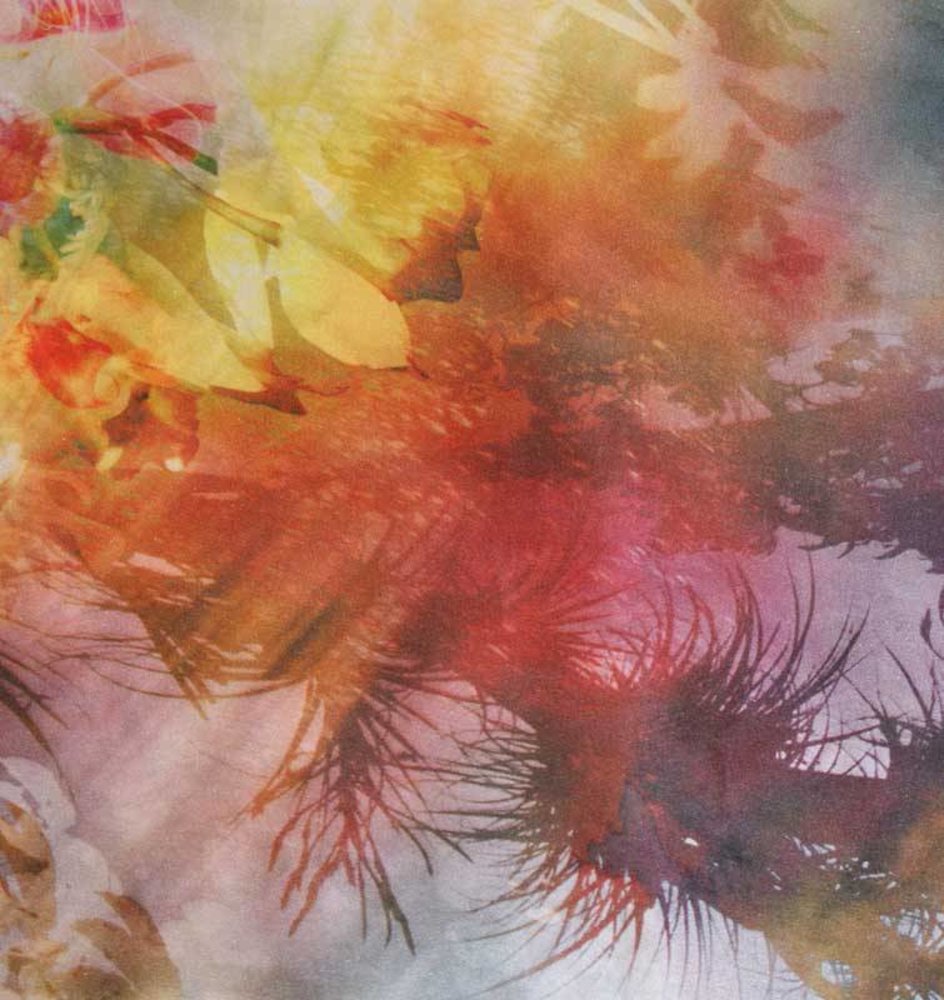 Jet d'encre en soie 239 Jet d'encre en soie 239