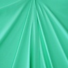 Viscose Jersey V75 - heavy mint groen Viscose Jersey V75 - heavy mint groen