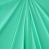 Viscose Jersey V75 - heavy mint groen Viscose Jersey V75 - heavy mint groen