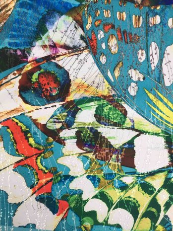 Jacquard 1252 Jacquard 1252