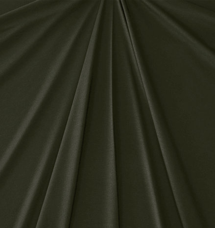 Premium Viscose Jersey PV14 - legergroen Premium Viscose Jersey PV14 - legergroen