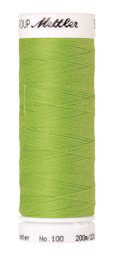 Yarn G0256 Yarn G0256