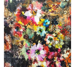 Seidentintenstrahl 481 Seidentintenstrahl 481