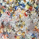 Seidentintenstrahl 517 Seidentintenstrahl 517