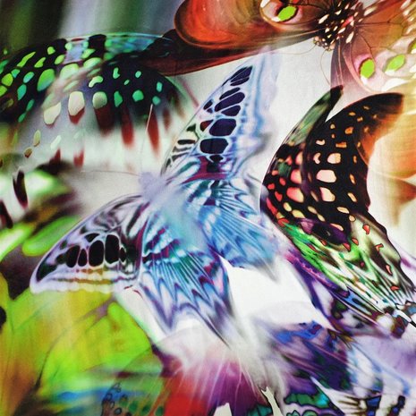 Seide Inkjet 603 Seide Inkjet 603