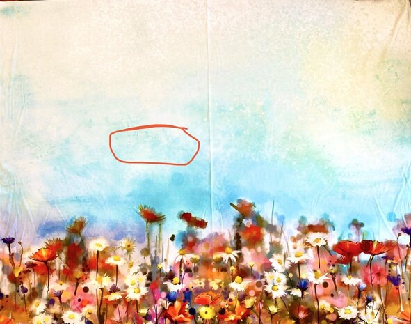 Punta di Roma 1858 - !!dessinfout!!