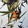 Viscose Satin Inkjet 2299 Viscose Satin Inkjet 2299