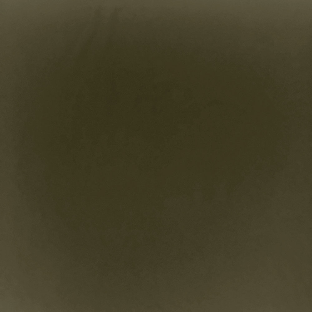 Terlenka 4-Way Stretch TS06 - moss green Terlenka 4-Way Stretch TS06 - moss green