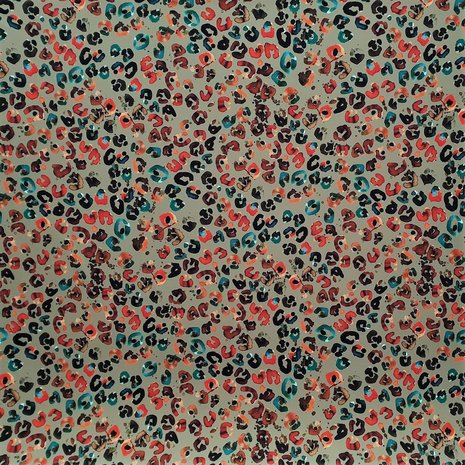 Punta di Roma 2405 Punta di Roma 2405