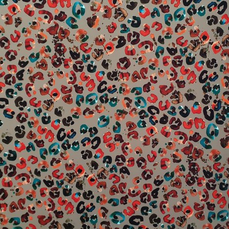 Punta di Roma 2405 Punta di Roma 2405