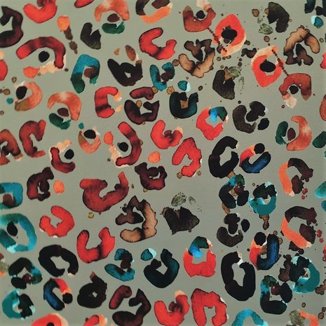 Punta di Roma 2405 Punta di Roma 2405