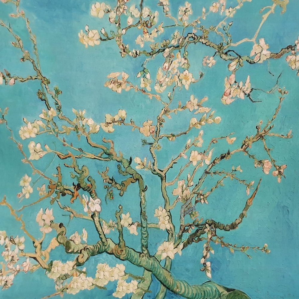 Jersey Inkjet 2437 - Van Gogh / Amandelbloesem Jersey Inkjet 2437 - Van Gogh / Amandelbloesem