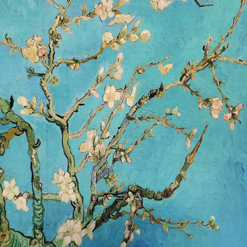 Jersey Inkjet 2437 - Van Gogh / Amandelbloesem Jersey Inkjet 2437 - Van Gogh / Amandelbloesem