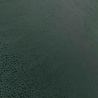 Imitation Leather IL49 - bottles green Imitation Leather IL49 - bottles green