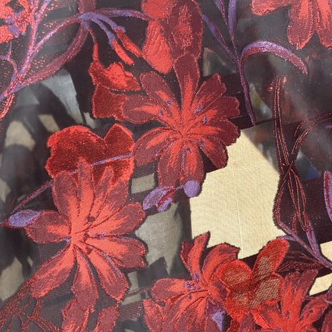 Jacquard coupe fil, transparant 1002