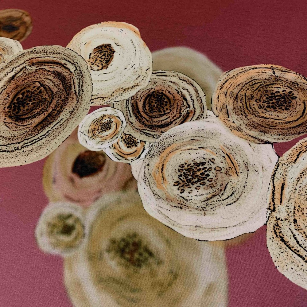 Punta di Roma 1802 Punta di Roma 1802