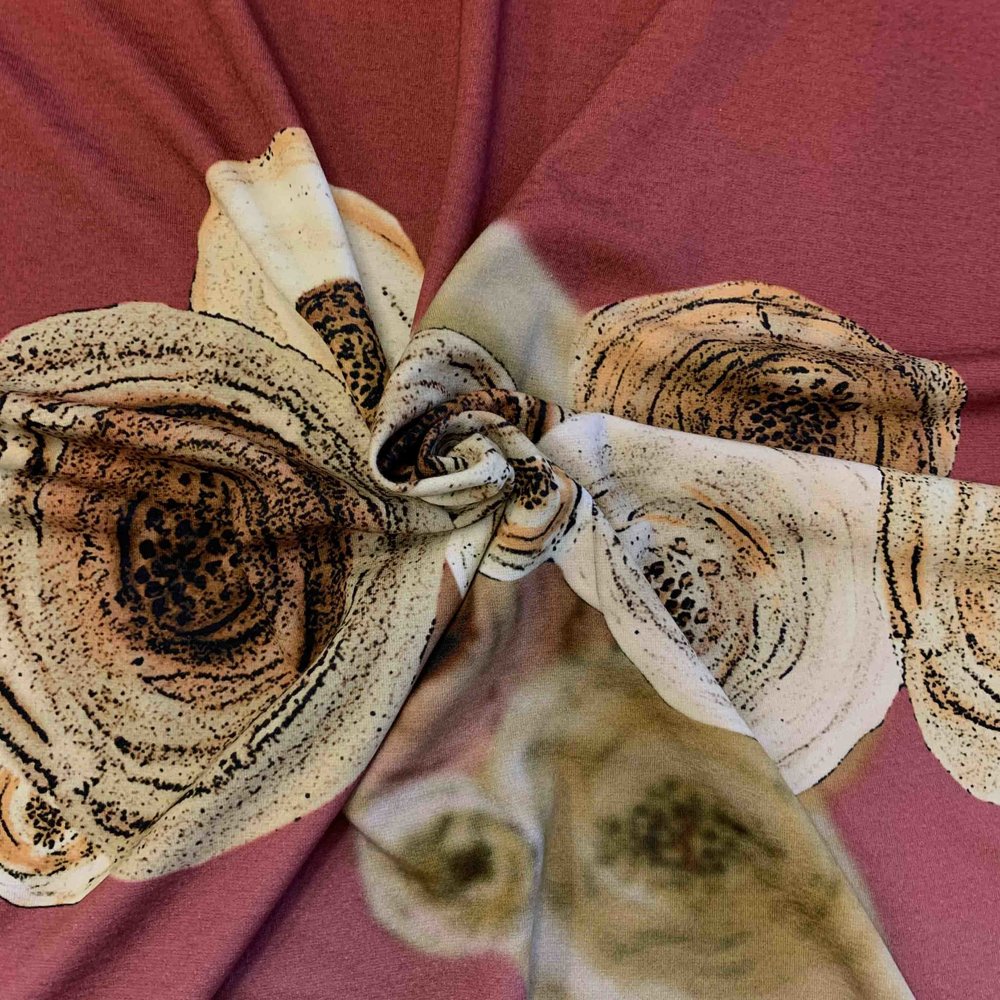 Punta di Roma 1802 Punta di Roma 1802