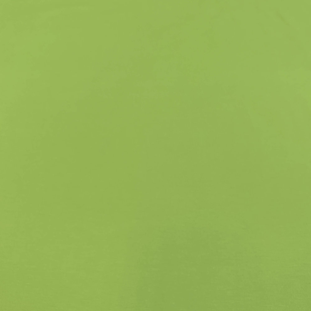 Punta di Roma P13 - bright green Punta di Roma P13 - bright green