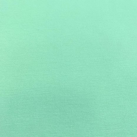 Punta di Roma P29 - mint