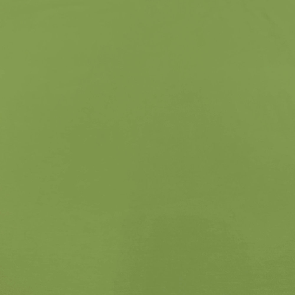 Punta di Roma P53 - lime green