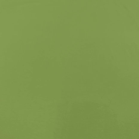 Punta di Roma P53 - lime green