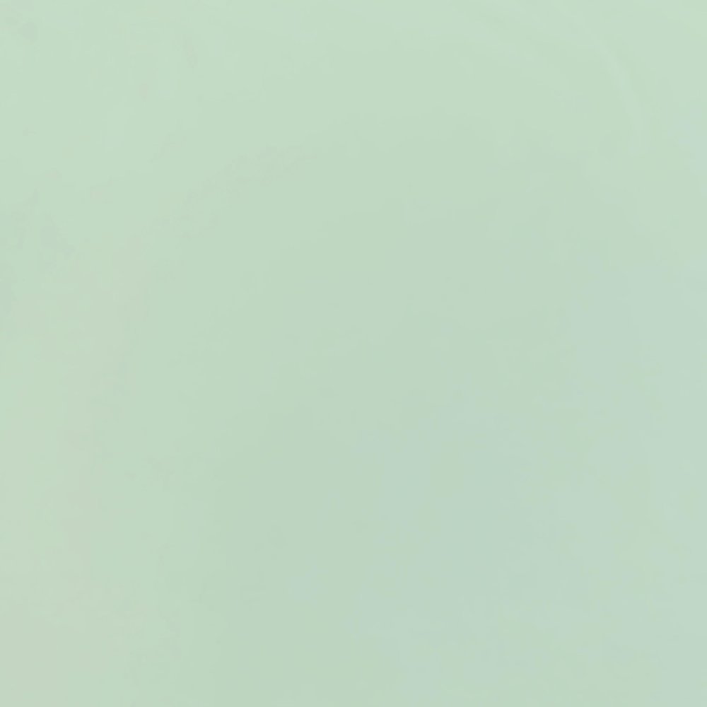 Punta di Roma P58 - vert pastel