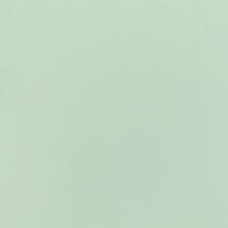 Punta di Roma P58 - vert pastel