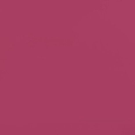 Punta di Roma P65 -winter fuchsia