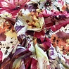 Cotton Modal Jersey 3145 Cotton Modal Jersey 3145