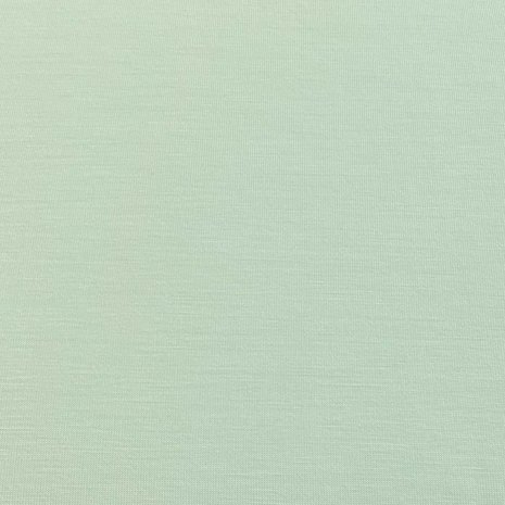 Bamboo Jersey Uni BV04 - vert poudre