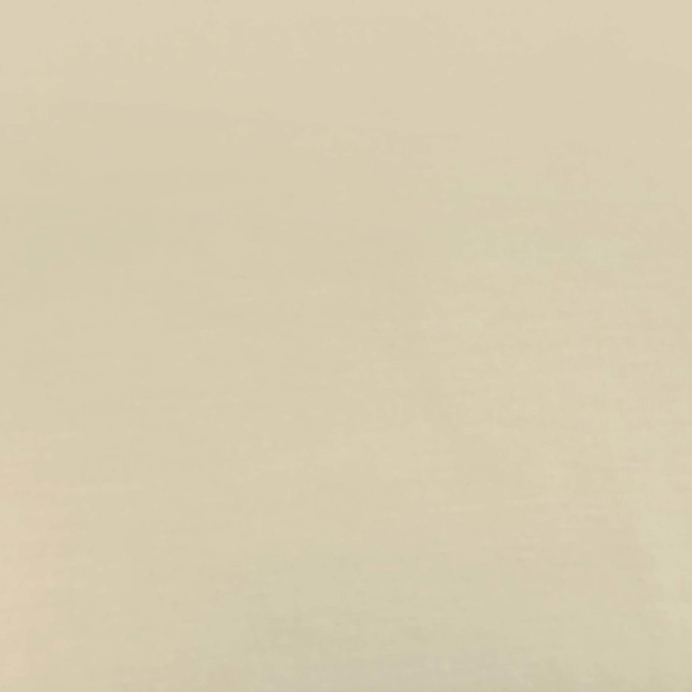 Bamboo Jersey Uni BV05 - light beige