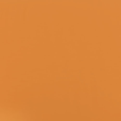 Bamboo Jersey Uni BV17 - burnt orange Bamboo Jersey Uni BV17 - burnt orange